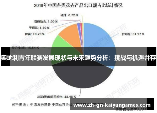 奥地利青年联赛发展现状与未来趋势分析：挑战与机遇并存