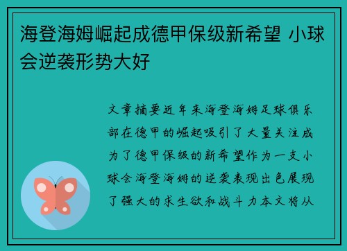 海登海姆崛起成德甲保级新希望 小球会逆袭形势大好 海登海姆崛起成德甲保级新希望 小球会逆袭形势大好